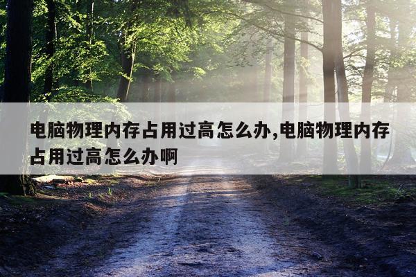 电脑物理内存占用过高怎么办,电脑物理内存占用过高怎么办啊