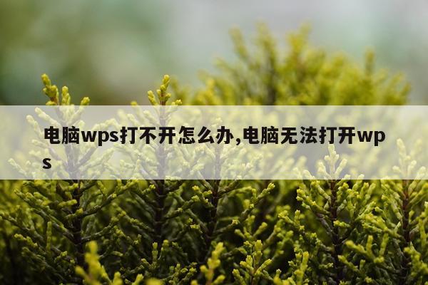 电脑wps打不开怎么办,电脑无法打开wps