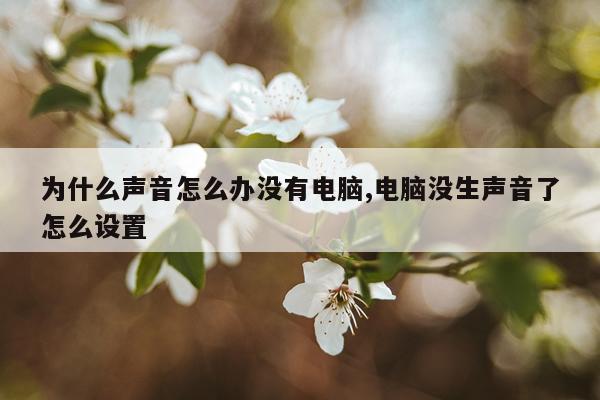 为什么声音怎么办没有电脑,电脑没生声音了怎么设置