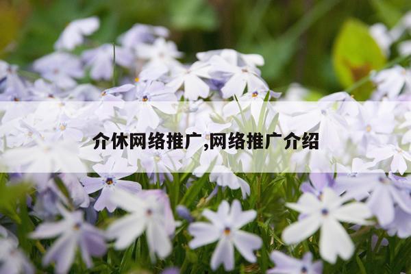 介休网络推广,网络推广介绍