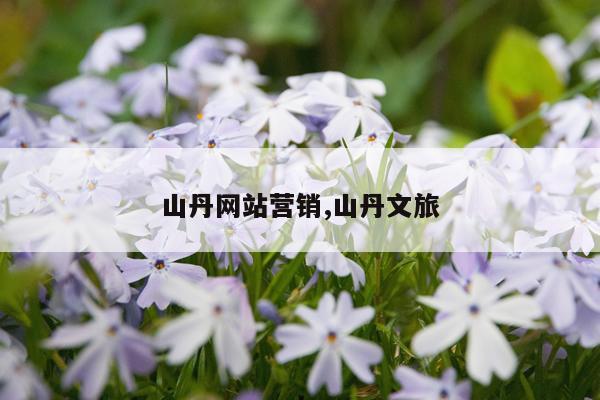 山丹网站营销,山丹文旅