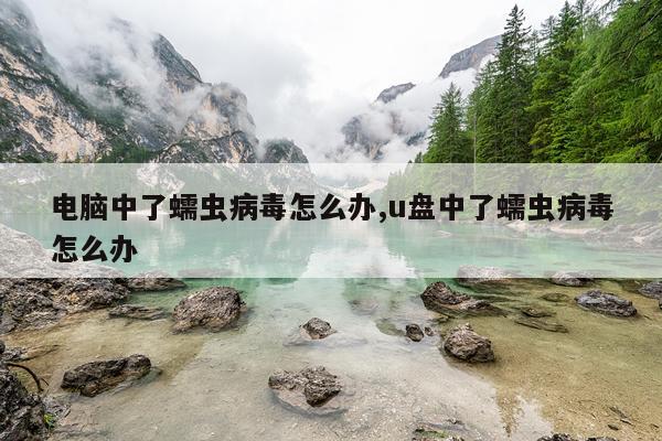 电脑中了蠕虫病毒怎么办,u盘中了蠕虫病毒怎么办
