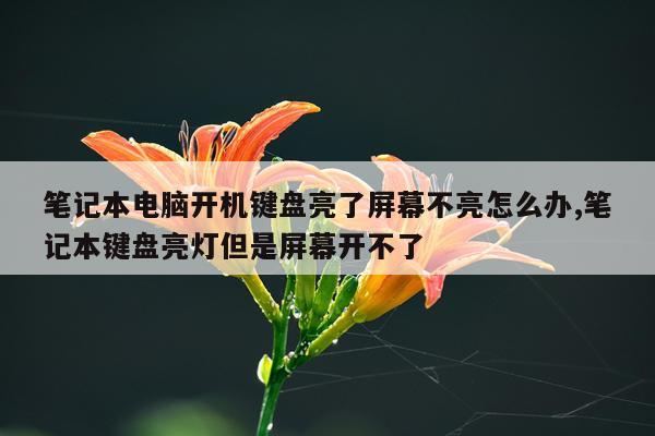 笔记本电脑开机键盘亮了屏幕不亮怎么办,笔记本键盘亮灯但是屏幕开不了