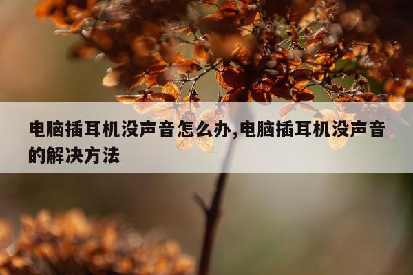 电脑插耳机没声音怎么办,电脑插耳机没声音的解决方法