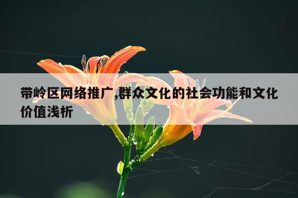 带岭区网络推广,群众文化的社会功能和文化价值浅析
