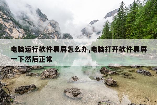 电脑运行软件黑屏怎么办,电脑打开软件黑屏一下然后正常