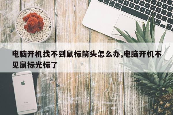 电脑开机找不到鼠标箭头怎么办,电脑开机不见鼠标光标了
