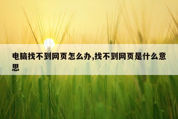 电脑找不到网页怎么办,找不到网页是什么意思