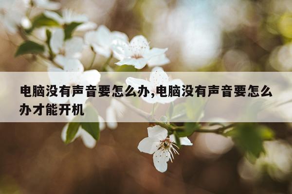 电脑没有声音要怎么办,电脑没有声音要怎么办才能开机