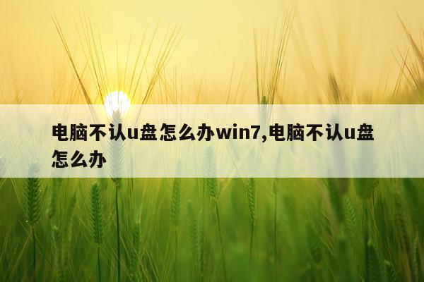 电脑不认u盘怎么办win7,电脑不认u盘怎么办