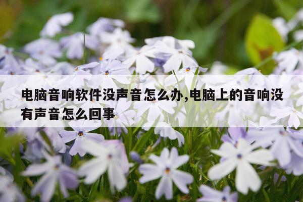 电脑音响软件没声音怎么办,电脑上的音响没有声音怎么回事