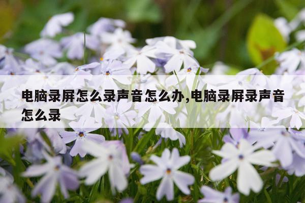 电脑录屏怎么录声音怎么办,电脑录屏录声音怎么录