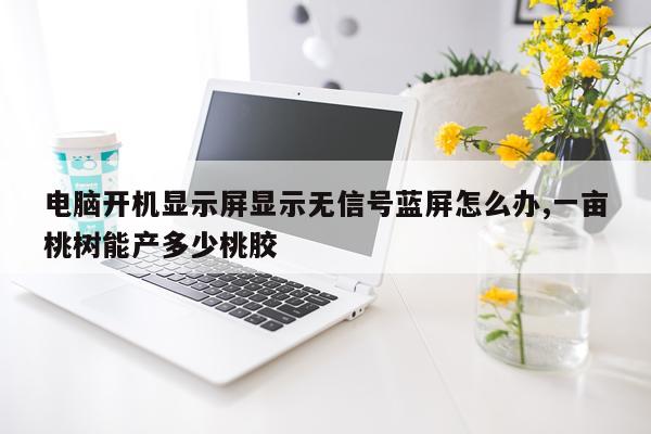 电脑开机显示屏显示无信号蓝屏怎么办,一亩桃树能产多少桃胶