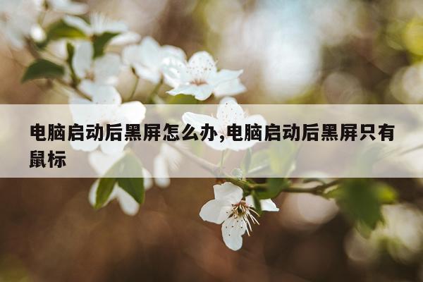 电脑启动后黑屏怎么办,电脑启动后黑屏只有鼠标