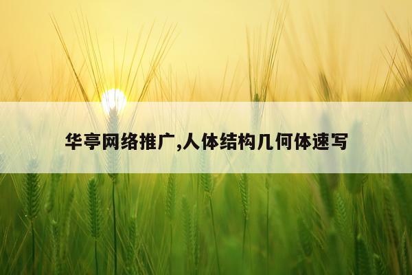 华亭网络推广,人体结构几何体速写