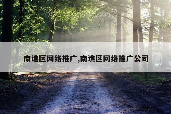 南谯区网络推广,南谯区网络推广公司