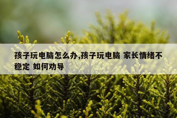孩子玩电脑怎么办,孩子玩电脑 家长情绪不稳定 如何劝导