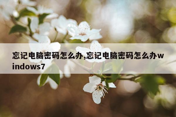 忘记电脑密码怎么办,忘记电脑密码怎么办windows7