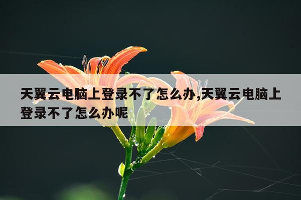 天翼云电脑上登录不了怎么办,天翼云电脑上登录不了怎么办呢