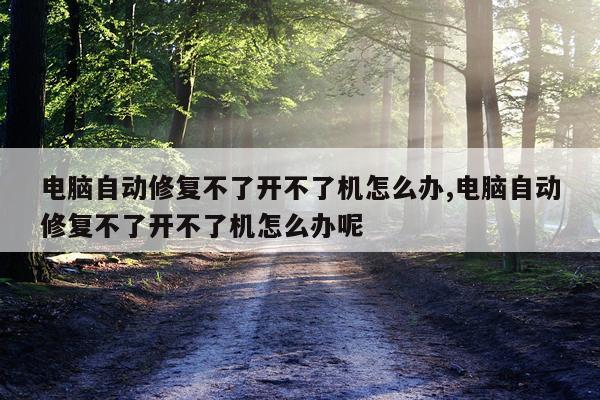 电脑自动修复不了开不了机怎么办,电脑自动修复不了开不了机怎么办呢