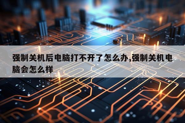 强制关机后电脑打不开了怎么办,强制关机电脑会怎么样