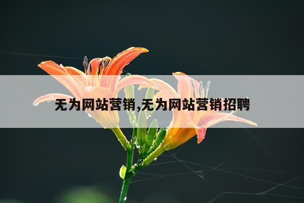 无为网站营销,无为网站营销招聘