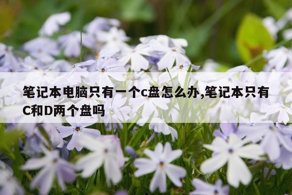 笔记本电脑只有一个c盘怎么办,笔记本只有C和D两个盘吗