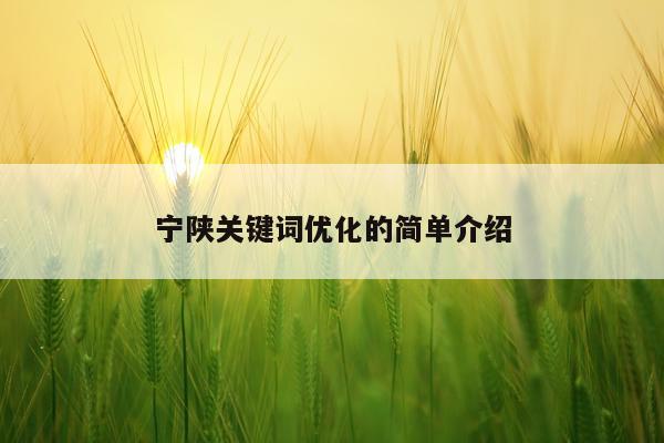 宁陕关键词优化的简单介绍