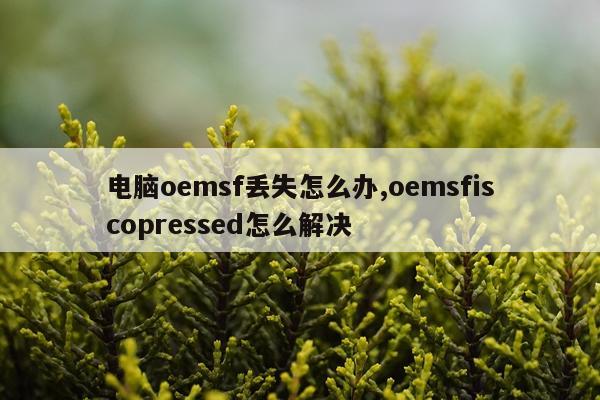 电脑oemsf丢失怎么办,oemsfiscopressed怎么解决