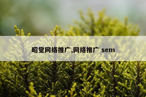 昭觉网络推广,网络推广 sem