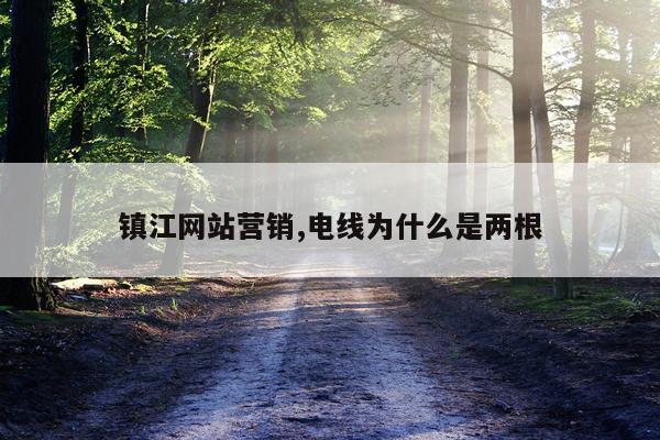 镇江网站营销,电线为什么是两根