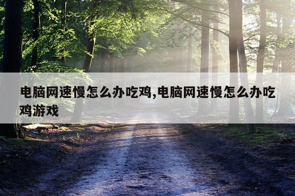 电脑网速慢怎么办吃鸡,电脑网速慢怎么办吃鸡游戏