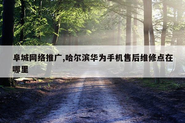 阜城网络推广,哈尔滨华为手机售后维修点在哪里
