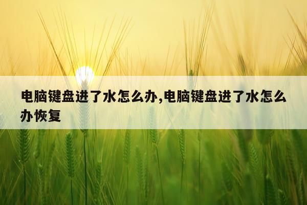 电脑键盘进了水怎么办,电脑键盘进了水怎么办恢复