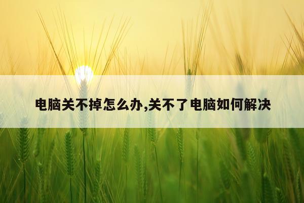 电脑关不掉怎么办,关不了电脑如何解决