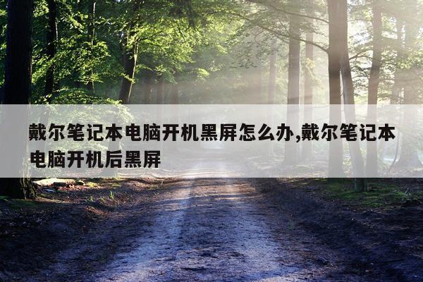 戴尔笔记本电脑开机黑屏怎么办,戴尔笔记本电脑开机后黑屏