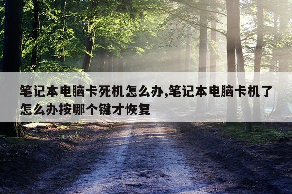 笔记本电脑卡死机怎么办,笔记本电脑卡机了怎么办按哪个键才恢复