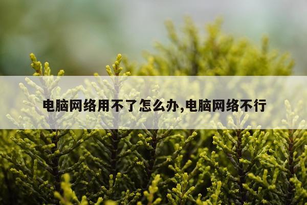 电脑网络用不了怎么办,电脑网络不行