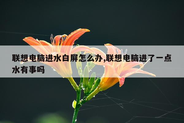 联想电脑进水白屏怎么办,联想电脑进了一点水有事吗