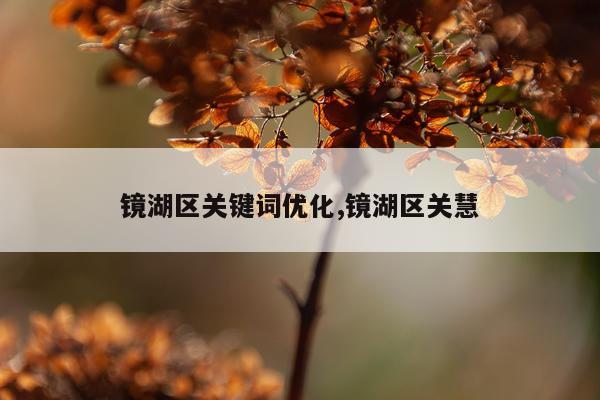 镜湖区关键词优化,镜湖区关慧