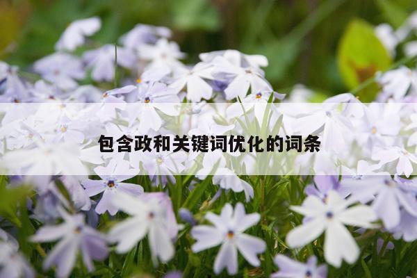包含政和关键词优化的词条