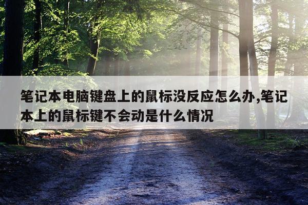 笔记本电脑键盘上的鼠标没反应怎么办,笔记本上的鼠标键不会动是什么情况