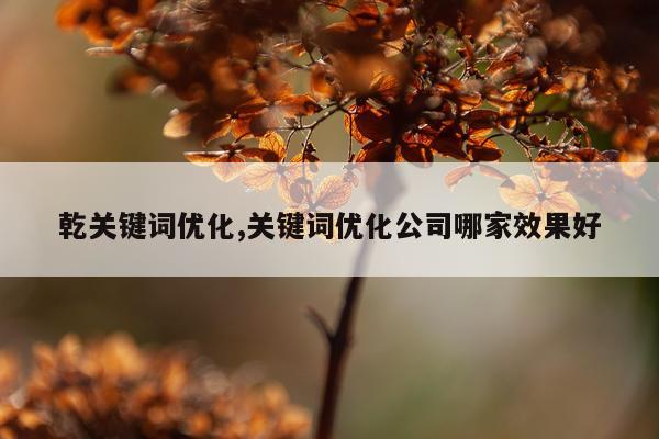 乾关键词优化,关键词优化公司哪家效果好