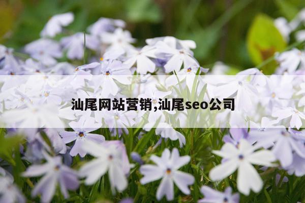 汕尾网站营销,汕尾seo公司