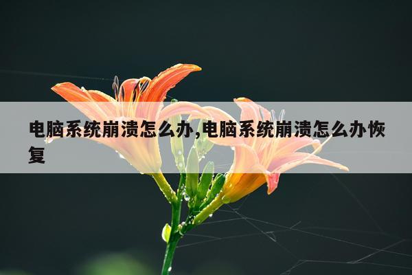 电脑系统崩溃怎么办,电脑系统崩溃怎么办恢复