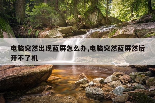 电脑突然出现蓝屏怎么办,电脑突然蓝屏然后开不了机