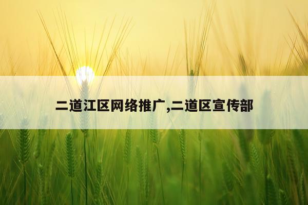 二道江区网络推广,二道区宣传部