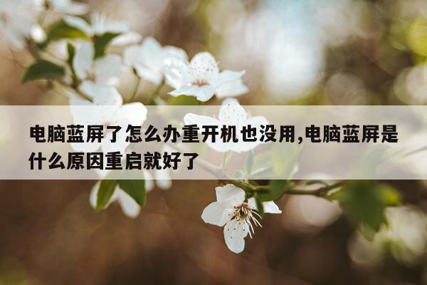 电脑蓝屏了怎么办重开机也没用,电脑蓝屏是什么原因重启就好了