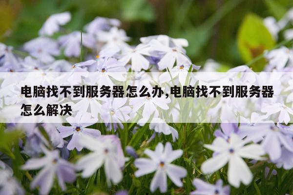 电脑找不到服务器怎么办,电脑找不到服务器怎么解决
