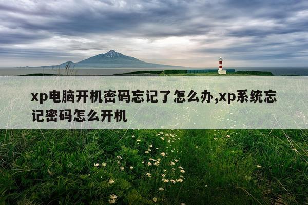 xp电脑开机密码忘记了怎么办,xp系统忘记密码怎么开机